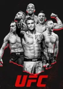 ufc-212x300